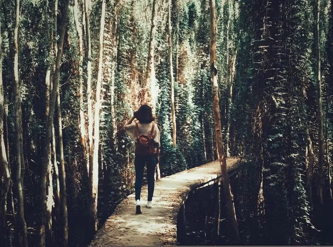 Nơi đây cũng là nơi thu hút khá nhiều nhiếp ảnh gia cũng như là những cặp tình nhân vào chụp ảnh cưới.