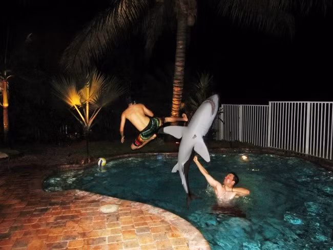 Chú quá đen khi mò vào nhầm chỗ rồi nhé.