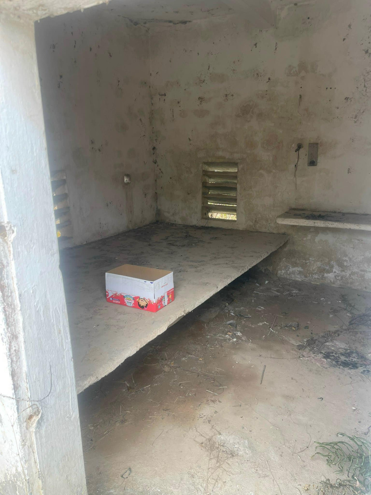 Hai Duong: Be trai so sinh bi bo roi tai diem canh de xa Tuan Viet-Hinh-3