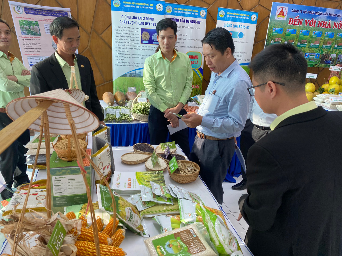 28 tinh, TP phia Bac ve Hai Duong trao doi kinh nghiem san xuat nong nghiep-Hinh-6