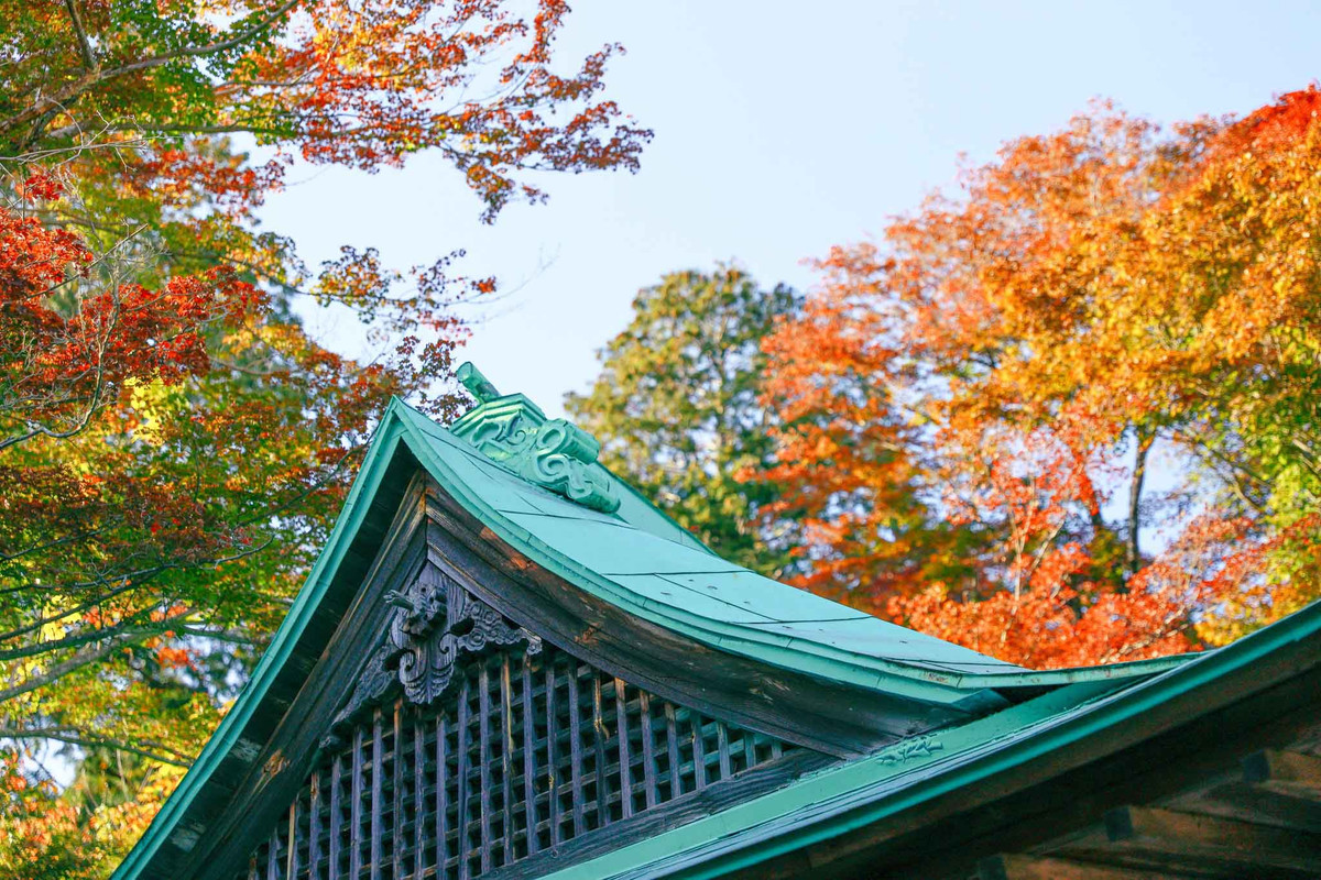 Một góc chùa vào tháng 10-2023. Ảnh: Nguyễn Vân