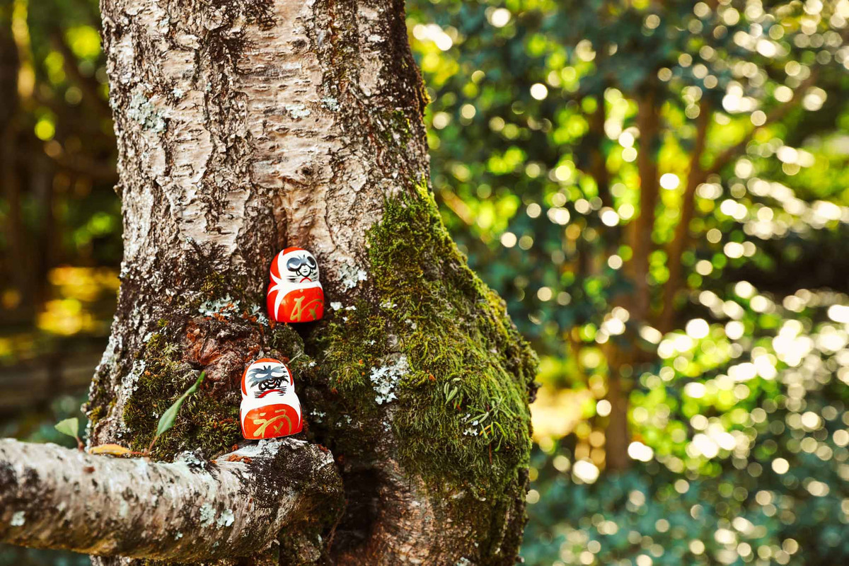 Búp bê Daruma được đặt ở mọi vị trí ngóc ngách trong chùa và khuôn viên bên ngoài. Ảnh: Nguyễn Vân 