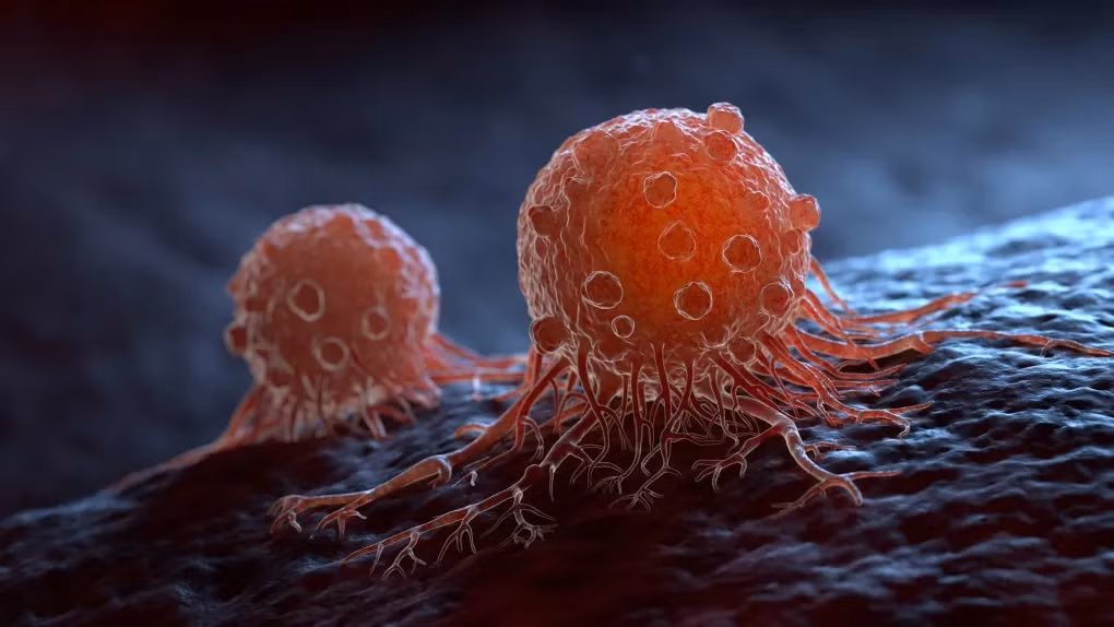 Nóng: Tìm ra cách mới khiến tế bào ung thư tự hủy - Hình 2 Nong: Tim ra cach moi khien te bao ung thu tu huy-Hinh-2