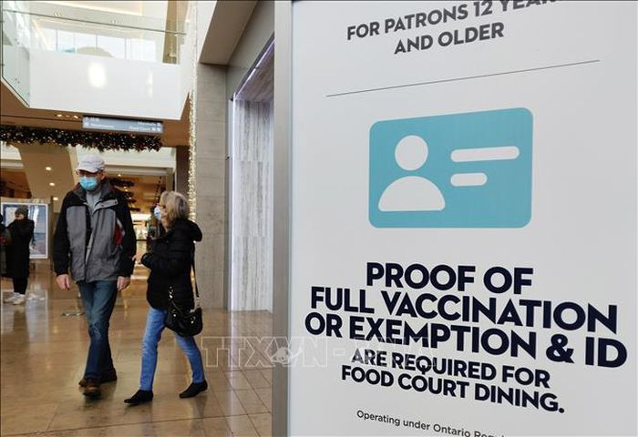 COVID-19 toi 6h sang 28/11: The gioi vuot 261 trieu ca mac-Hinh-2