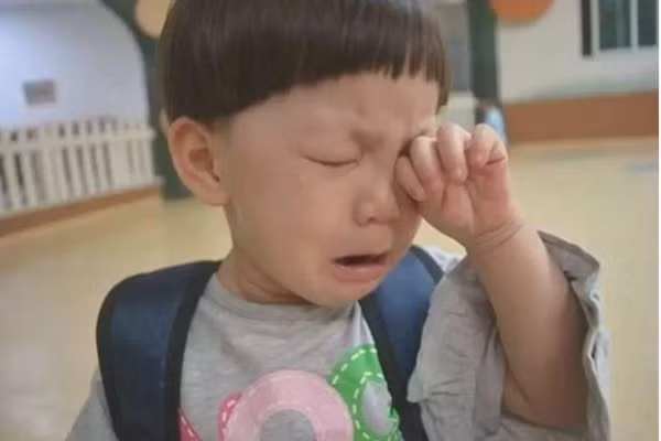 Bo du con trai ngu rieng, cau nhoc dap lai 1 cau khien bo choang