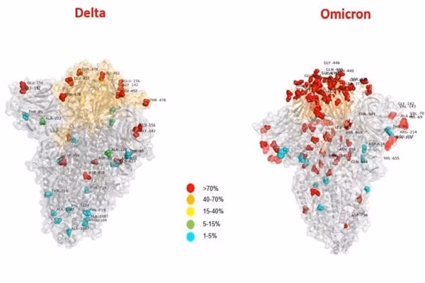 Italy cong bo anh so sanh dot bien cua bien chung Omicron va Delta