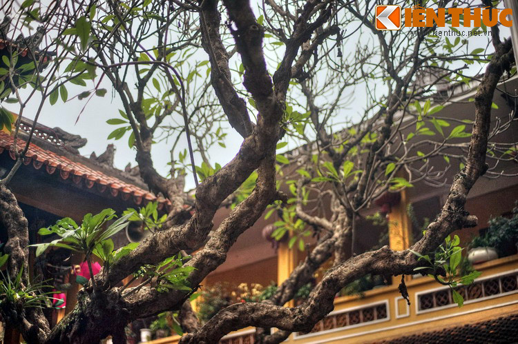 Theo sử sách, chùa Quán Sứ được xây dựng vào thế kỷ 15 ở địa phận thôn An Tập, phường Cổ Vũ, tổng Tiền Nghiêm (sau đổi là tổng Vĩnh Xương), huyện Thọ Xương cũ. Trước khi chùa được xây, nơi đây đã có một số gian nhà tranh được dùng làm chỗ tế thần cầu an, gọi là xóm An Tập.