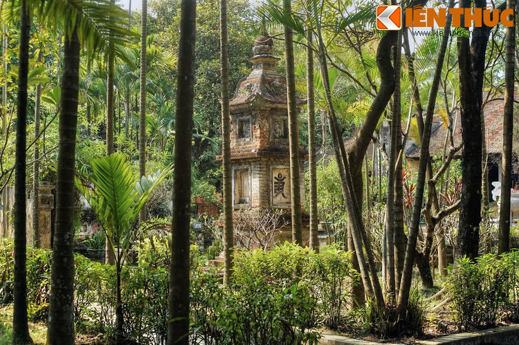 Đứng giữa vườn chùa tĩnh lặng, khó có thể hình dung nơi đây xưa kia là pháp trường, và ngày nay thuộc về khu vực trung tâm đầy náo nhiệt của đô thị lớn thứ hai Việt Nam.