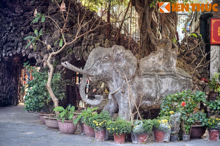 Dù không còn nằm trên đất của tàu voi cũ, dân chúng vẫn gọi là chùa Tàu và dựng tượng voi để ghi nhớ về lịch sử của chùa.