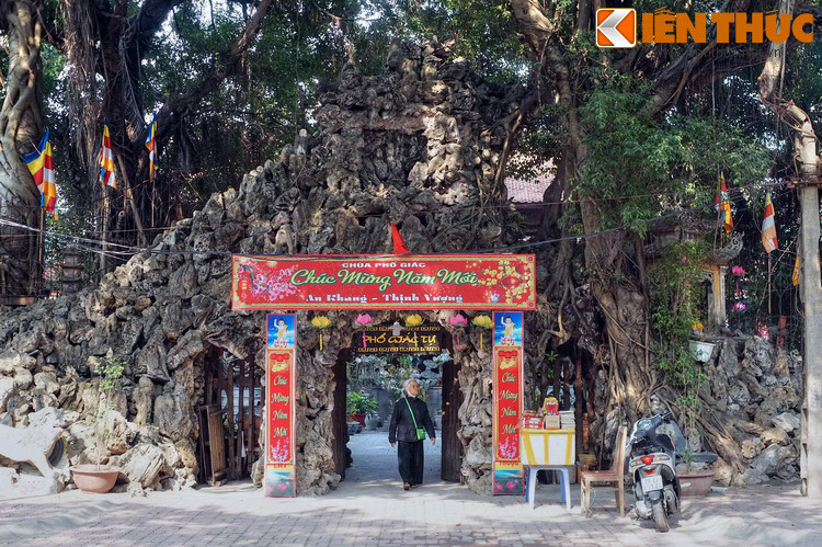 Dieu ly thu ve ngoi chua nam tren bai nuoi voi chien Ha Noi