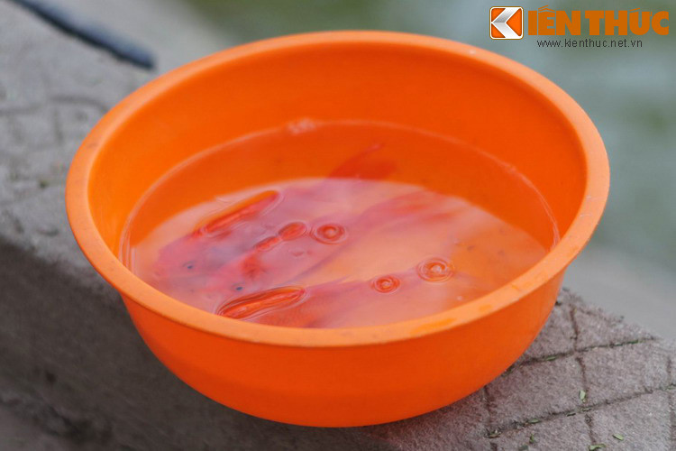 Theo đó, vào thời kỳ rất xa xưa, có một năm thiên giới không có đủ rồng để phun mưa, khiến cho chúng sinh dưới hạ giới lầm than vì hạn hán. Vì vậy, Ngọc Hoàng Thượng đế đã mở cuộc thi để tìm một con vật có thể làm rồng.