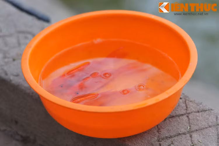 Theo đó, vào thời kỳ rất xa xưa, có một năm thiên giới không có đủ rồng để phun mưa, khiến cho chúng sinh dưới hạ giới lầm than vì hạn hán. Vì vậy, Ngọc Hoàng Thượng đế đã mở cuộc thi để tìm một con vật có thể làm rồng.