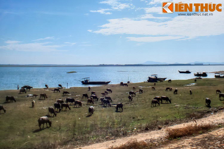 Thông thường, cứ chừng vài tháng hoặc khi có khách mua trâu, người chủ sống ở thị trấn lại đến thăm đàn. Ngã giá xong, trâu được trao tay, đưa đi luôn.