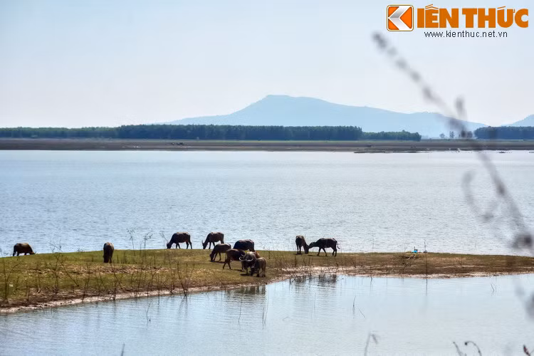 Hồ có không gian rộng lớn, quang cảnh thiên nhiên rất đẹp và thơ mộng. Đặc biệt, bờ hồ là nơi người dân địa phương chăn thả trâu với quy mô khá lớn.