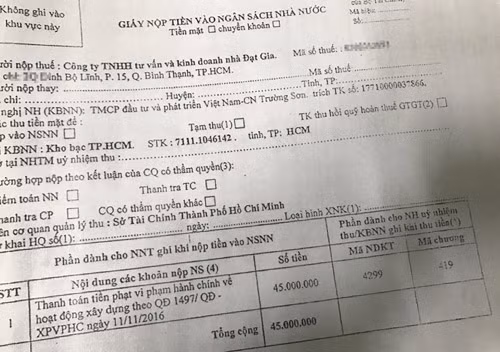 Tai nan chet nguoi o cong trinh can ho Dat Gia: Do gio lon?-Hinh-4