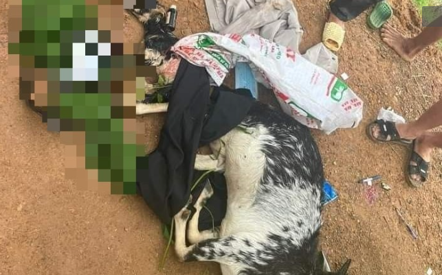 Xac minh vu 3 cong an “ban nham” de cua nguoi dan o Ha Noi