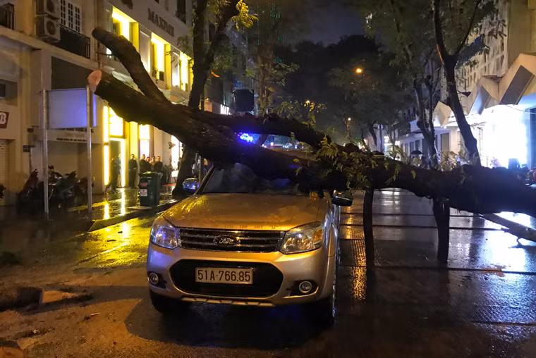 Trong cơn mưa, một cây khá lớn trên đường Đồng Khởi, phường Bến Nghé, quận 1 đã đổ xuống đường, đè bẹp chiếc ô tô lưu thông qua. May mắn là 2 người trên xe đã không nguy hiểm đến tính mạng.