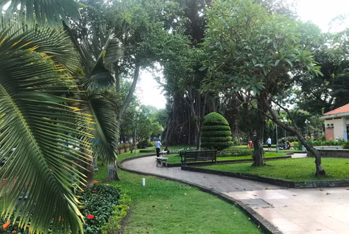Pho hang rong trong cong vien o Sai Gon sap khai truong-Hinh-4