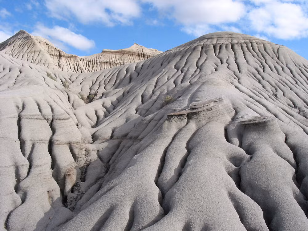 Công viên này là một vùng đất có địa hình địa mạo đặc biệt, rất cằn cỗi vì nằm ở vùng khô và nóng nhất ở Alberta.