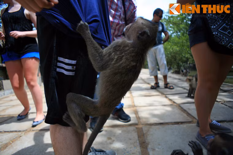 Khu rừng cũng được UNESCO công nhận là "Khu dự trữ sinh quyển thế giới".