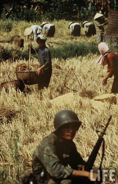 Đại lộ Hàm Nghi và khu vực bến Bạch Đằng nhìn từ trên cao.