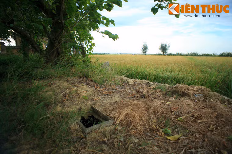 Trong cuộc đấu tranh cách mạng ở địa phương, nhận ra Cồn Miệu nằm ở một vị trí khó tiếp cận, lại được cây cối che phủ, quân và dân xã Thủy Thanh đã biến nơi đây thành một cơ sở hoạt động bí mật. Một căn hầm đã được đào giữa các ngôi mộ bên miếu để làm nơi nuôi giấu cán bộ chiến sĩ.