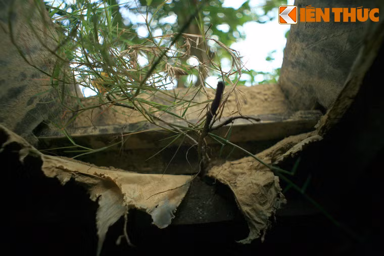 Nắp hầm được nghi trang rất khéo để địch không thể phát hiện dù có rà soát kỹ lưỡng.