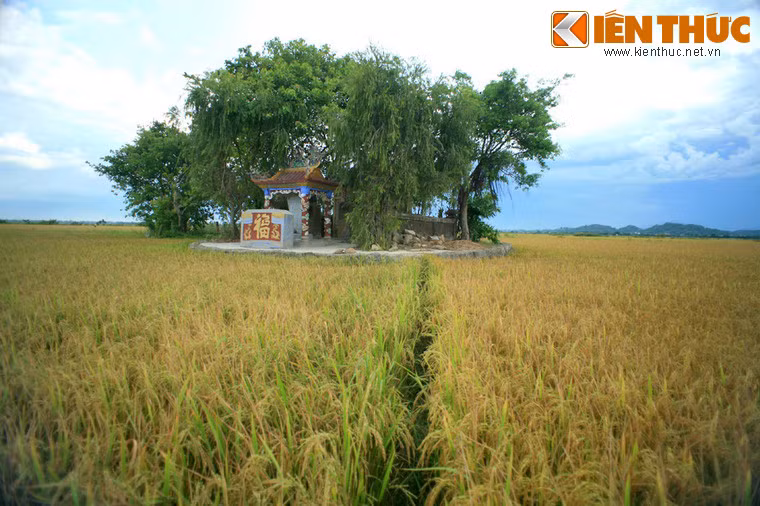 Ngày nay, Cồn Miệu cùng căn hầm bí mật thời chiến tranh Việt Nam trở thành một điểm đến thú vị dành cho những người ưa khám phá.