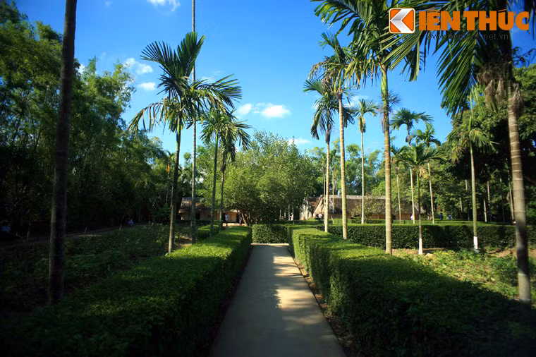 Làng Hoàng Trù (xã Kim Liên, huyện Nam Đàn, tỉnh Nghệ An) là quê ngoại Bác Hồ. Đây chính là nơi Bác Hồ cất tiếng khóc chào đời và sống trong 5 năm đầu tiên của thời thơ ấu.