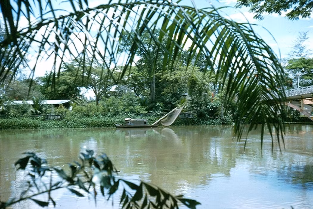 Rạch Thị Nghè nhìn tử Thảo Cầm Viên.