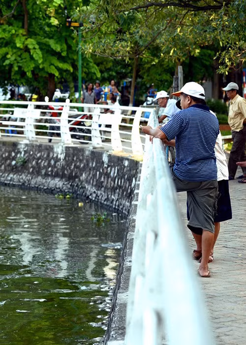 Không chỉ có Hồ Tây, thời gian gần đây nhiều hồ khác cũng xảy ra tình trạng cá chết tương tự ở Thủ đô.