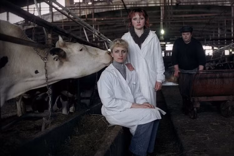 Chụp ảnh mà không có anh làm sao có ảnh "độc" được. 