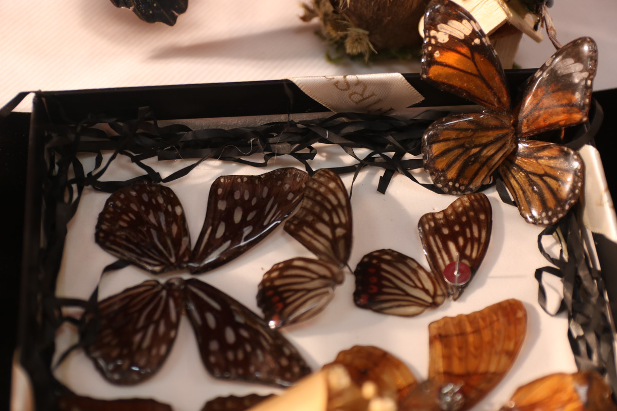 Ton vinh dong gop cua nha khoa hoc voi rung, bien doi khi hau-Hinh-19