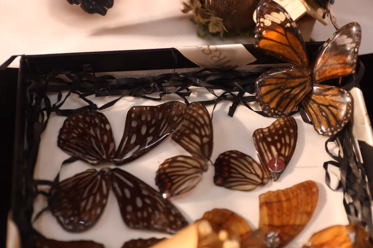 Ton vinh dong gop cua nha khoa hoc voi rung, bien doi khi hau-Hinh-19