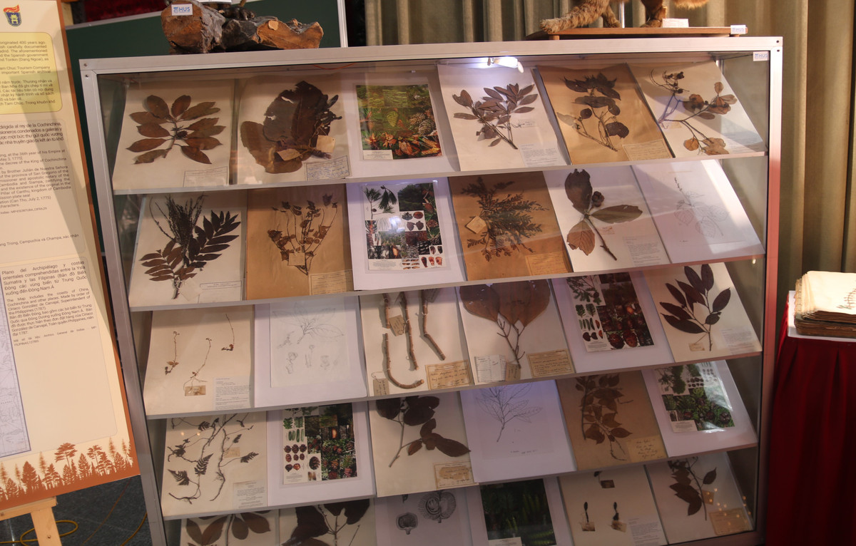 Ton vinh dong gop cua nha khoa hoc voi rung, bien doi khi hau-Hinh-5