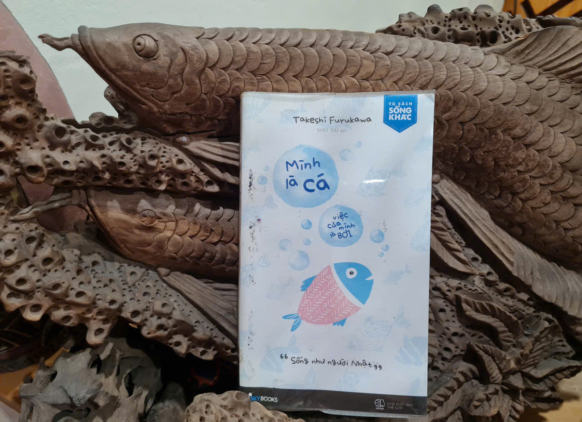 Vuot len nghich canh voi 'Minh la ca, viec cua ca la boi'