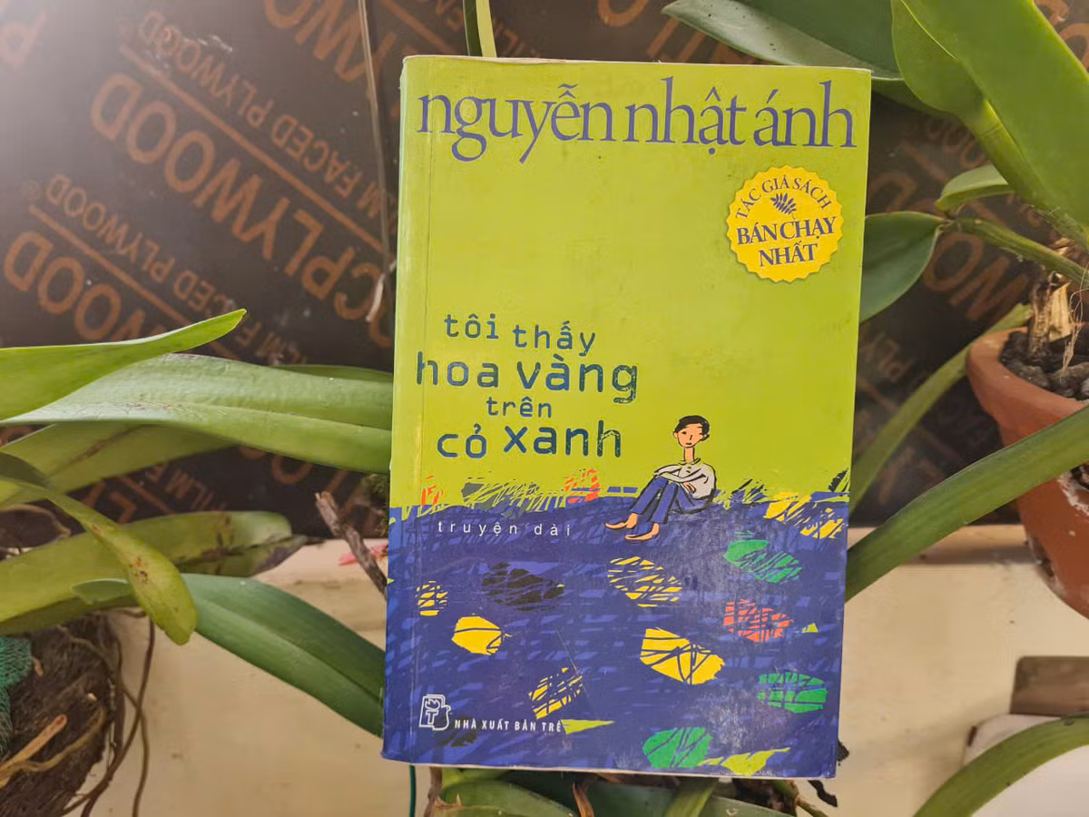 “Toi thay hoa vang tren co xanh”, cuon sach cham ky uc tuoi tho