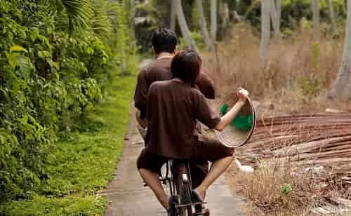 Nhà phê bình Hoài Thanh nhận xét: Thơ Nguyễn Bính đã đánh thức người nhà quê vẫn ẩn náu trong lòng ta... Bài thơ “Chân quê” là một “tuyên ngôn thơ” của Nguyễn Bính chống lại xu hướng thơ hoài cổ, bảo thủ hay chạy theo những lối mới lòe loẹt. 