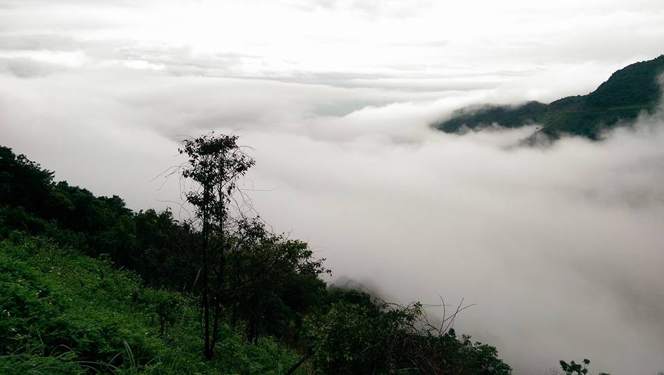 Ngoài ra, đèo Hải Vân còn nổi bật bởi mây phủ trắng xóa, lơ lửng giữa những ngọn núi xanh mướt nổi bật lên giữa nền trời xanh thẳm tựa như một bức tranh non nước nguy nga, tráng lệ.