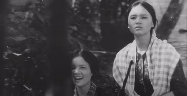 Cuộc đời vừa nuôi con vừa đánh giặc của nữ anh hùng Nguyễn Thị Út- Út Tịch đã được nhà văn Nguyễn Thi thể hiện một cách trung thực nhưng đầy tính sáng tạo trong quyển truyện ký Người mẹ cầm súng. (Ảnh: Phim Mẹ vắng nhà).