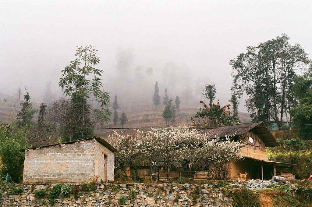 Vượt qua cung đèo uốn lượn là đến Pha Long. Pha Long tiếng địa phương có nghĩa là “Rồng Hoa”, đây là xã vùng cao biên giới của huyện Mường Khương, tỉnh Lào Cai là nơi cư ngụ của đồng bào dân tộc Mông từ bao đời nay.