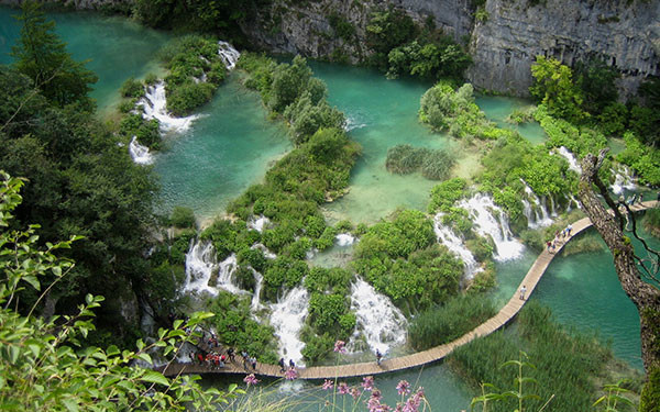 Cận cảnh kho báu di sản thiên nhiên tại vườn quốc gia Bạch Mã - Hình 2 Can canh kho bau di san thien nhien tai vuon quoc gia Bach Ma-Hinh-2