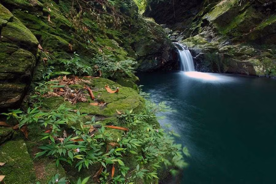 Can canh kho bau di san thien nhien tai vuon quoc gia Bach Ma-Hinh-3