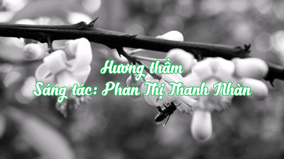 Anh ngã xuống mà chưa kịp biết rằng mình chính là nhân vật trong bài thơ.