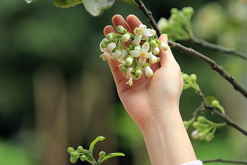 Ở lớp, có một bạn gái có vẻ rất gắn bó gần gũi với Khải nhưng anh không hay biết, chỉ có người chị nhà thơ đa cảm là để ý. Rồi anh lên đường đi bộ đội, ở chiến trường có lần được nghe Đài tiếng nói Việt Nam ngâm bài thơ, anh viết thư về kể cho chị.