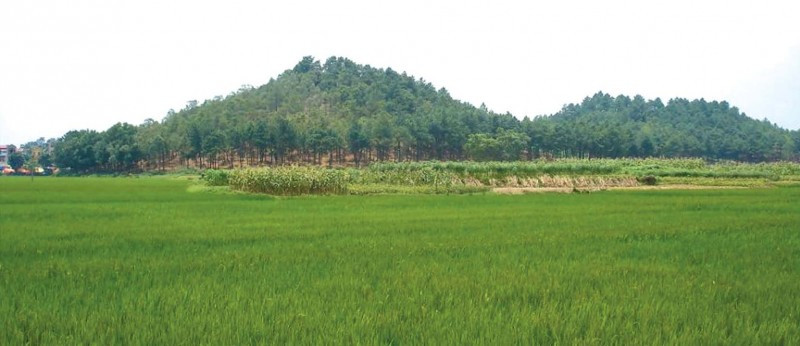 Nội dung bài thơ Núi đôi kể về chuyện tình một đôi trai gái trong cuộc chiến tranh chống thực dân Pháp ở xã Phù Linh, huyện Sóc Sơn, Hà Nội. Nơi đây có hai ngọn núi nằm cạnh nhau như núi vợ núi chồng, như chứng tích về một tình yêu đã đi vào huyền thoại thơ ca và lịch sử.