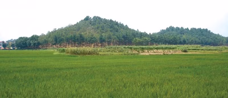 Nội dung bài thơ Núi đôi kể về chuyện tình một đôi trai gái trong cuộc chiến tranh chống thực dân Pháp ở xã Phù Linh, huyện Sóc Sơn, Hà Nội. Nơi đây có hai ngọn núi nằm cạnh nhau như núi vợ núi chồng, như chứng tích về một tình yêu đã đi vào huyền thoại thơ ca và lịch sử.