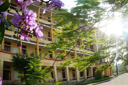 Ha nay co that buon khong?-Hinh-2