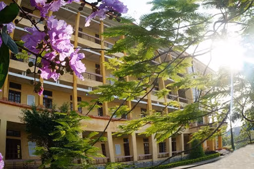 Ha nay co that buon khong?-Hinh-2