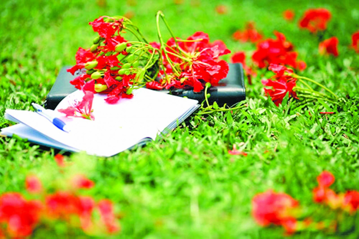 Ha nay co that buon khong?